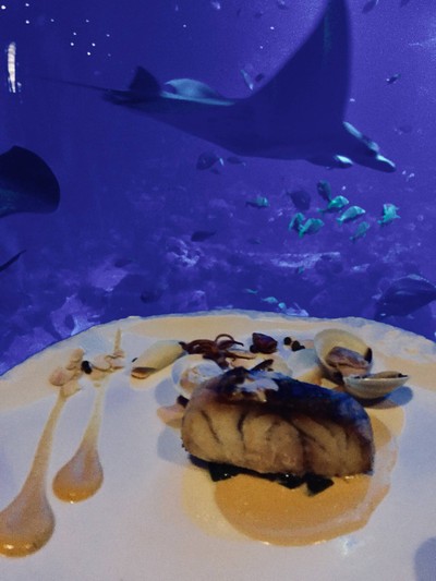 Seared Line Caught Sea Bass