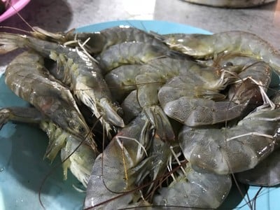 เมนูของร้าน เมาทะเลซีฟู๊ด ขอนแก่น