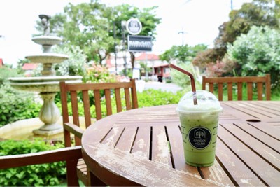 ICED MATCHA GREENTEA