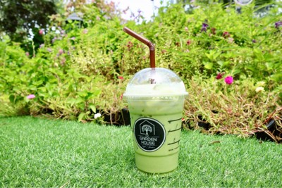 ICED MATCHA GREENTEA