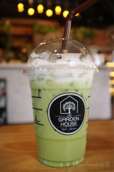 ICED MATCHA GREENTEA