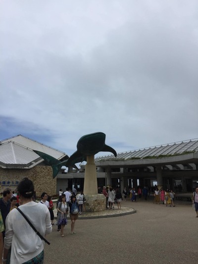 ไปดูน้องจุดที่ Okinawaaaa