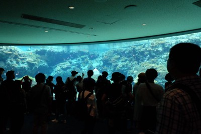 ไปดูน้องจุดที่ Okinawaaaa