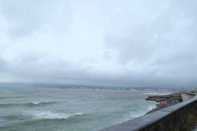 ไปดูน้องจุดที่ Okinawaaaa