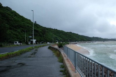 ไปดูน้องจุดที่ Okinawaaaa