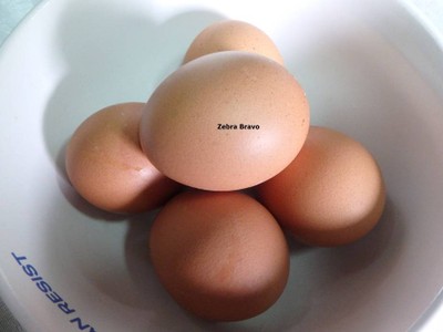 วิธีทำ ลาบไข่ต้ม