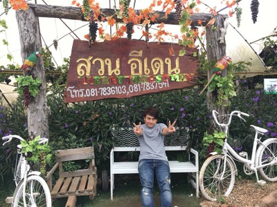 สวนอีเดน (ไร่องุ่นเอเดน) (Eden Vineyards) สวนอีเดน (ไร่องุ่นเอเดน) (Eden Vineyards)