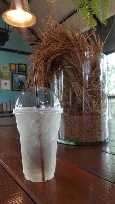 ชาข้าวฮางงอกเย็น 30฿