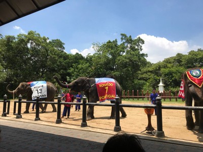 ลานแสดงช้างและฟาร์มจระเข้สามพราน ลานแสดงช้างและฟาร์มจระเข้สามพราน