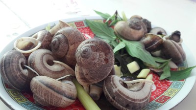 หอยหอม
