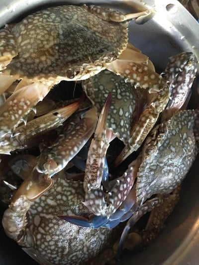 วิธีทำ ปูม้านึ่งแบบ ไม่ซึ้ง 😁