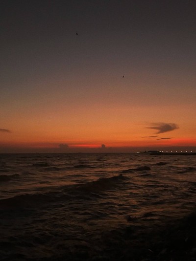 One day Trip บางปู