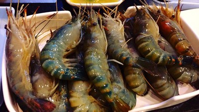 กุ้ง