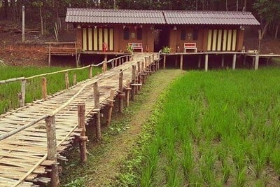 บรรยากาศ ดาราดาเลบ้านดินฟาร์ม