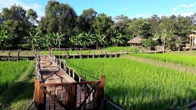 บรรยากาศ ดาราดาเลบ้านดินฟาร์ม