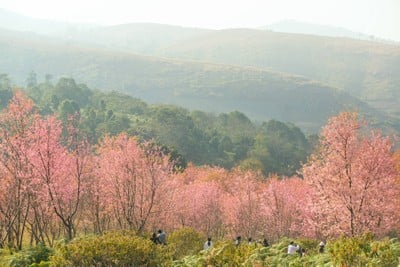บรรยากาศ ภูลมโล