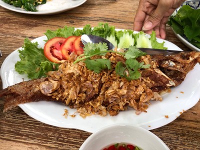 แมกไม้ชายคลอง