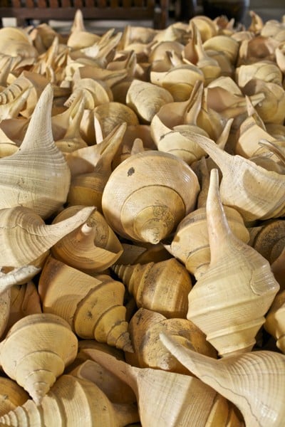 บรรยากาศ วัดเจดีย์หอย