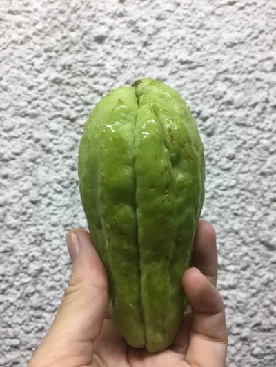 ฟักแม้วผัดไข่