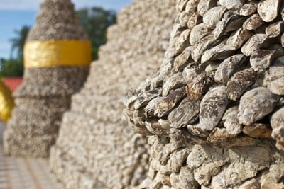 บรรยากาศ วัดเจดีย์หอย