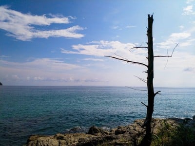 บรรยากาศ หาดสุรินทร์