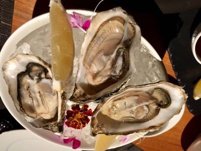 OYSTERS
