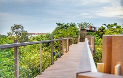 บรรยากาศ ป่าในกรุง