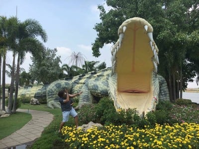 ไม่มี ไม่มี