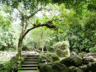 บรรยากาศ น้ำตกสาริกา