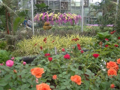 ดาษดาแกลอรี