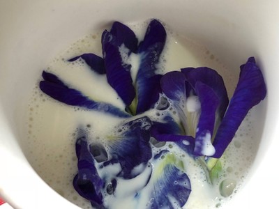 วิธีทำ ลาเต้อัญชันนมเย็น วิธีทำ ลาเต้อัญชันนมเย็น