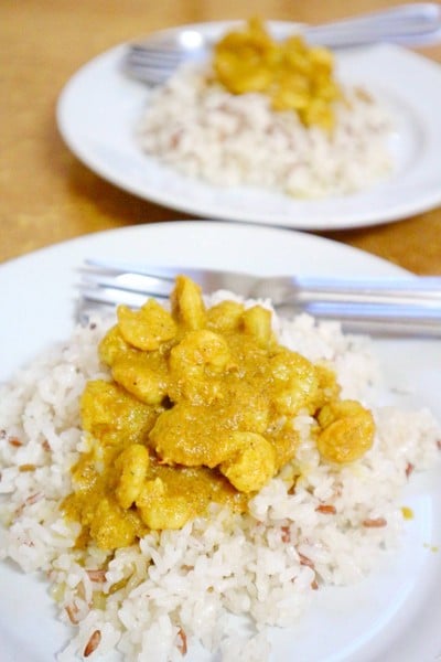 ข้าวมันแกงกุ้ง ธรรมดา