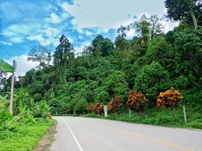 บรรยากาศ น้ำตกแม่พูล