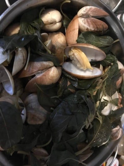 วิธีทำ หอยตลับนึ่งโหระพา (boiled clams with basil )