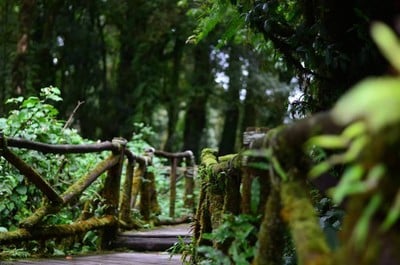 บรรยากาศ อุทยานแห่งชาติดอยอินทนนท์