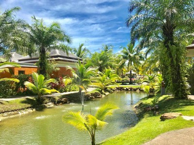 บริเวณโดยรอบ