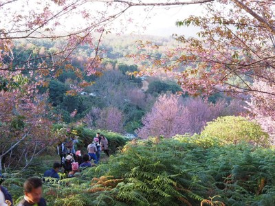 บรรยากาศ ภูลมโล