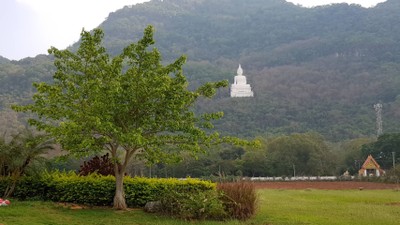 วิวจากร้านกาแฟทางเข้าวัด