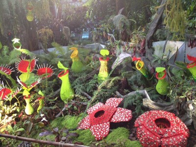 บรรยากาศ