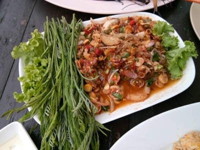 วังมัจฉา