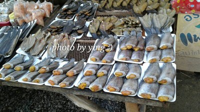 ปลาสลิด ของฝาก