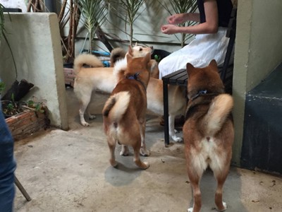 บรรยากาศ