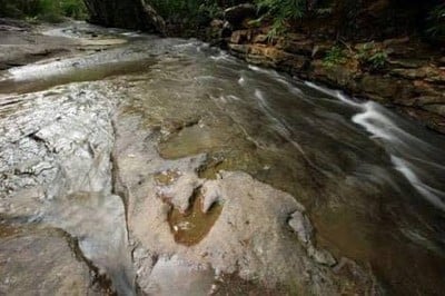 บรรยากาศ วนอุทยานภูแฝก