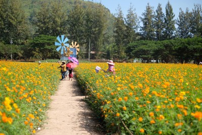บรรยากาศ Jim Thompson Farm