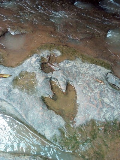 บรรยากาศ วนอุทยานภูแฝก