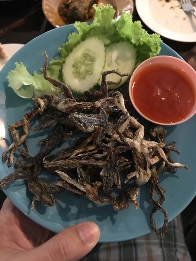 เขียดน้อยทอด
