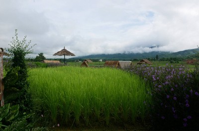 บริเวณโดยรอบ