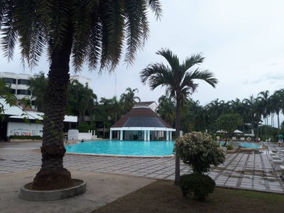 สระว่ายน้ำ/ชายหาด