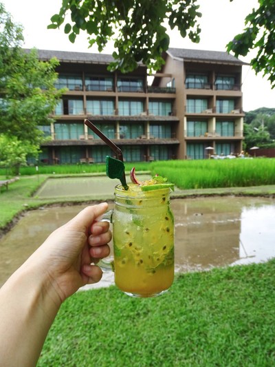 Vergin Mojito