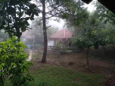 บริเวณโดยรอบ